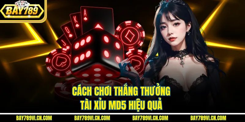 Cách chơi thắng thưởng tài xỉu MD5 hiệu quả